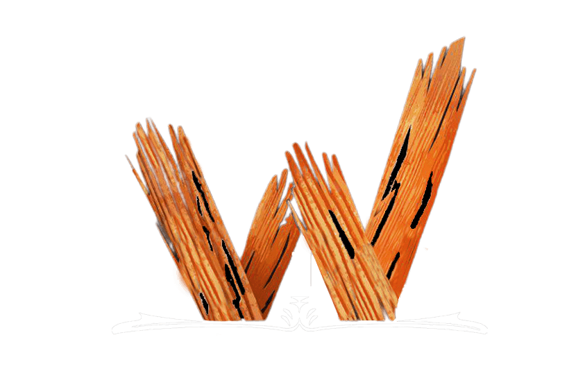 Your Logo