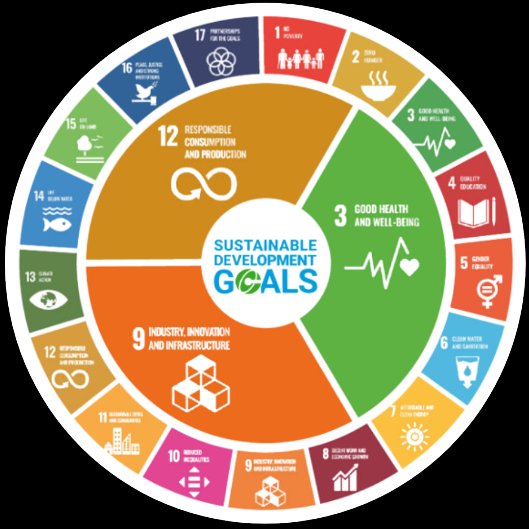 UN SDGs